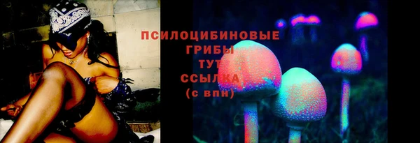 прущие грибы Алексеевка