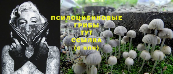 ГАЛЛЮЦИНОГЕННЫЕ ГРИБЫ Алзамай