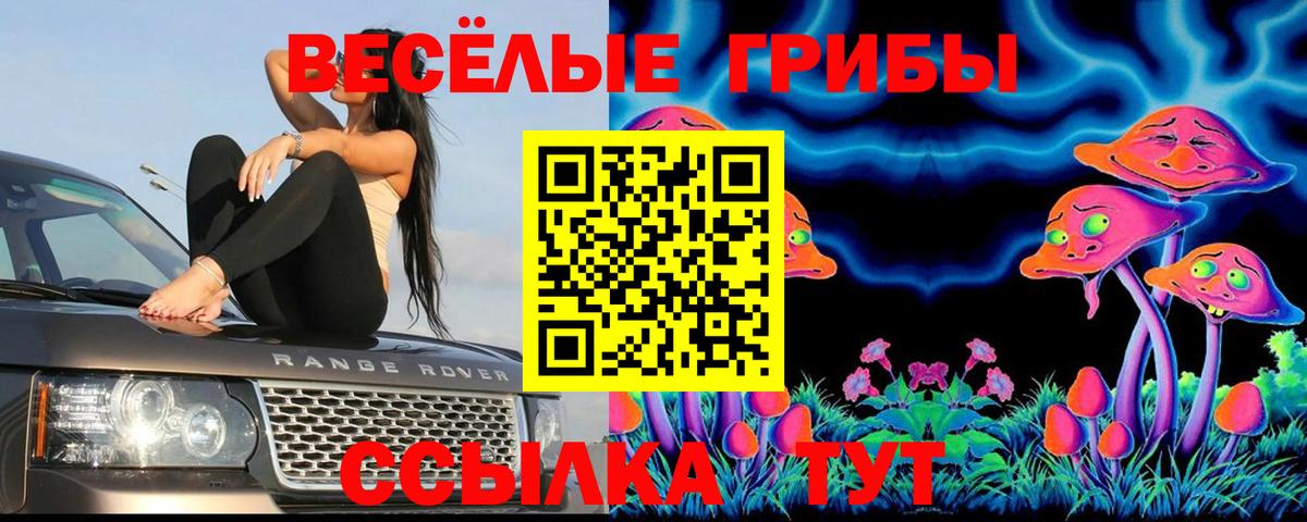 Псилоцибиновые грибы Psilocybe Десногорск